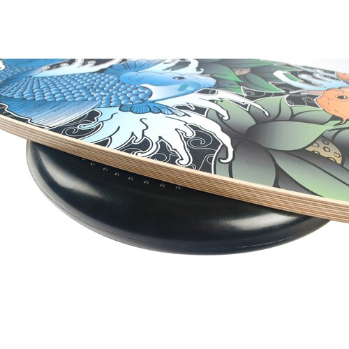 JUCKER HAWAII Balance Board Homerider SKATE-AID Gebraucht A+