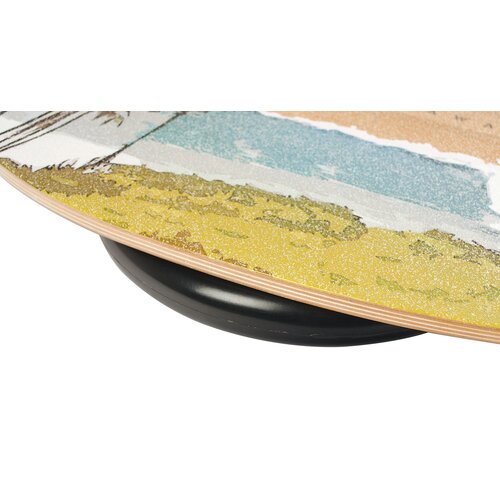 JUCKER HAWAII Balance Board Homerider SURF Nalu Gebraucht A+