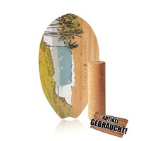 JUCKER HAWAII Balance Board Homerider SURF Nalu Gebraucht A+