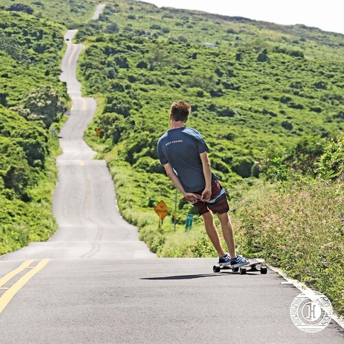 Longboard NEW HOKU Flex 2 Gebraucht A+